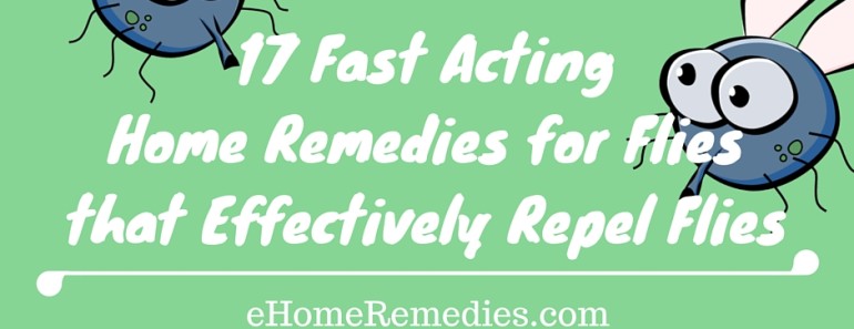 17 Fast Acting Home Remedies for Flies that Effectively Repel Flies