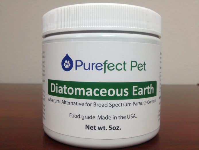 6 Effective Home Remedies for Worms in Cats eHome Remedies