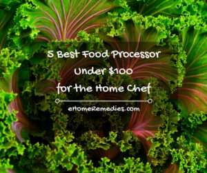 Read more about the article 5 Best Food Processors Under $100 for the Home Chef