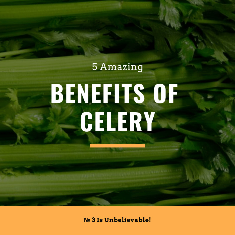 Read more about the article 5 Amazing Benefits Of Celery, № 3 Is Unbelievable!