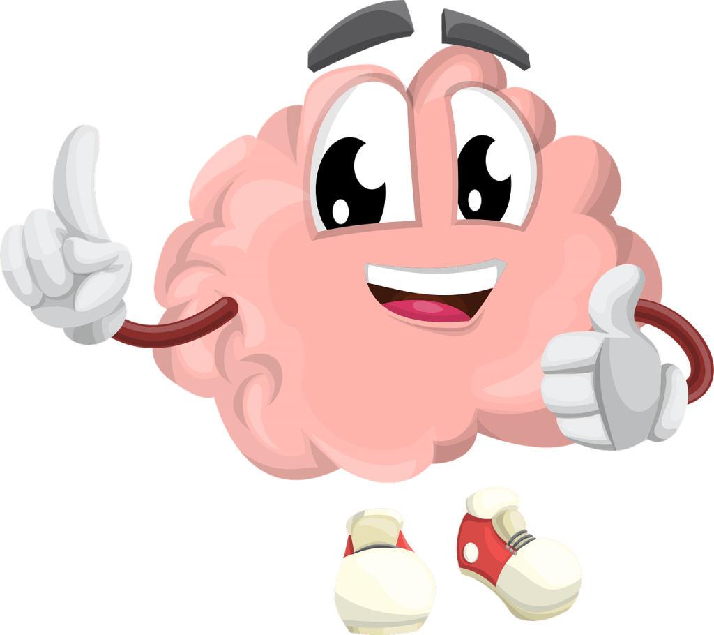brain