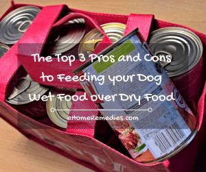 Read more about the article The Top 3 Pros and Cons to Feeding your Dog Wet Food over Dry Food