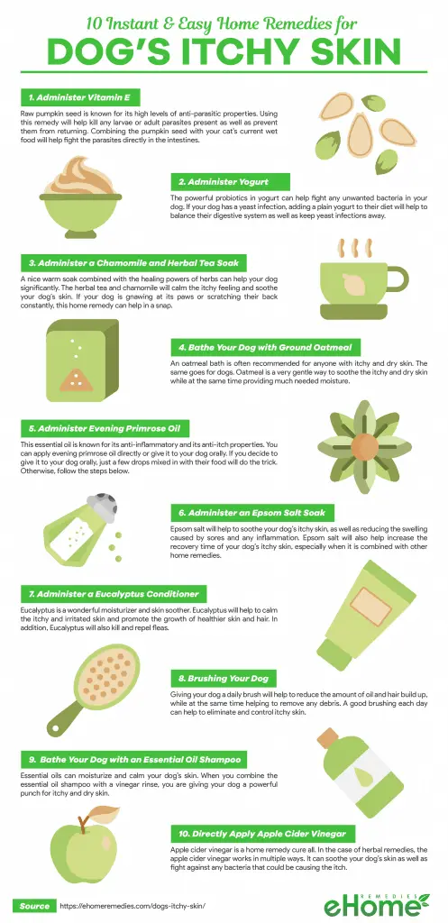 Home Remedies for Dogs Itchy Skin Infographic
