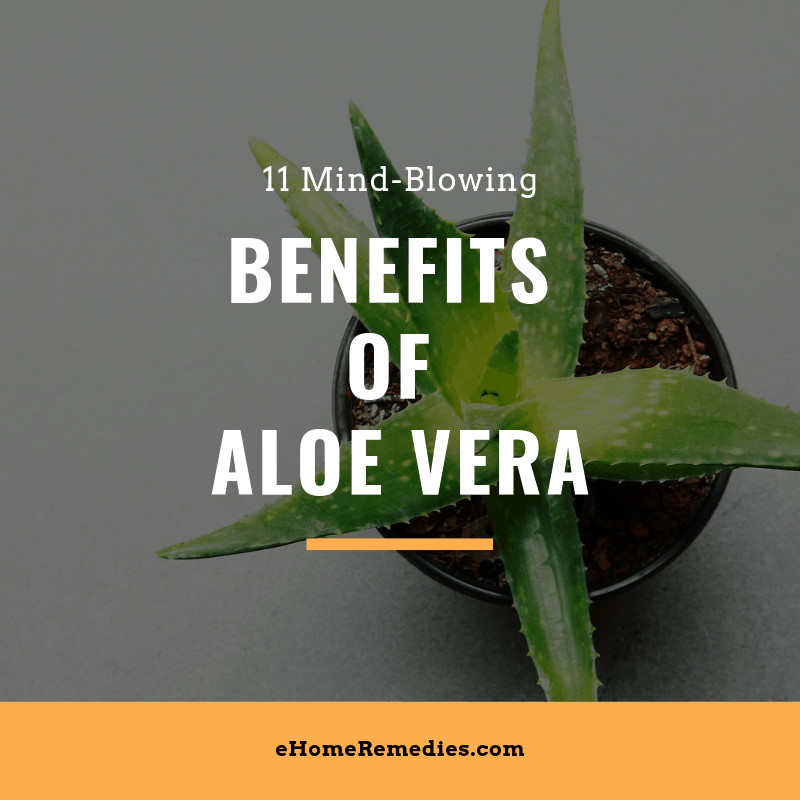 Read more about the article 11 Mind-Blowing Benefits of Aloe Vera