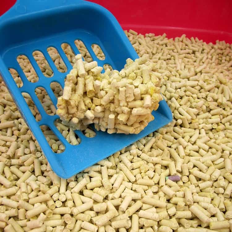 Corn Based Cat Litter