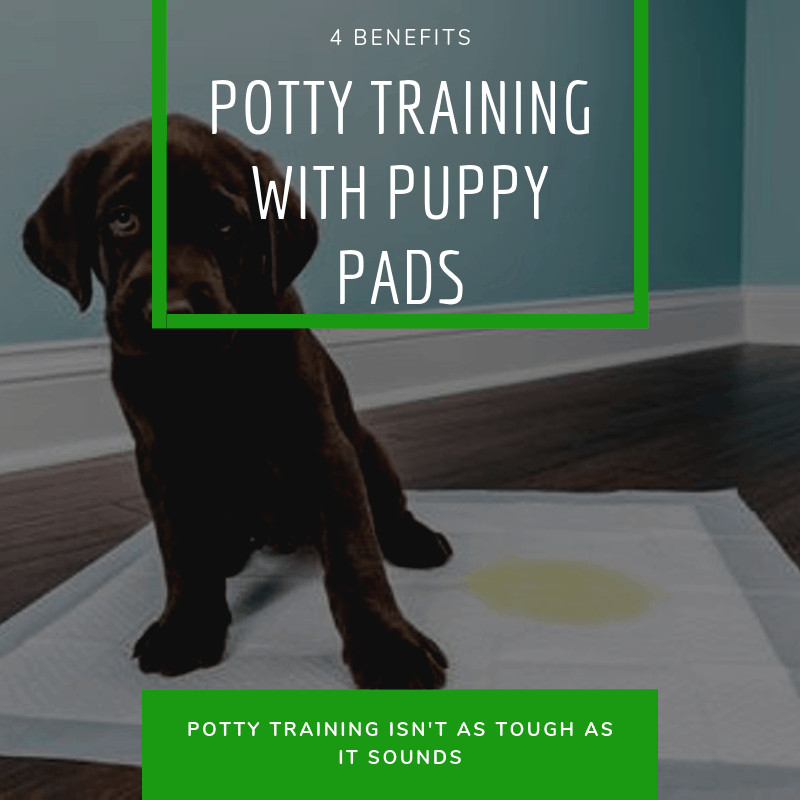 benefits of Potty training with puppy pads