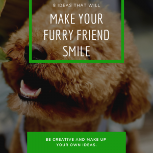 Read more about the article 8 Ideas That Will Make Your Furry Friend Smile