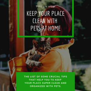 Read more about the article Tips on How to Keep Your Place Clean with Pets at Home