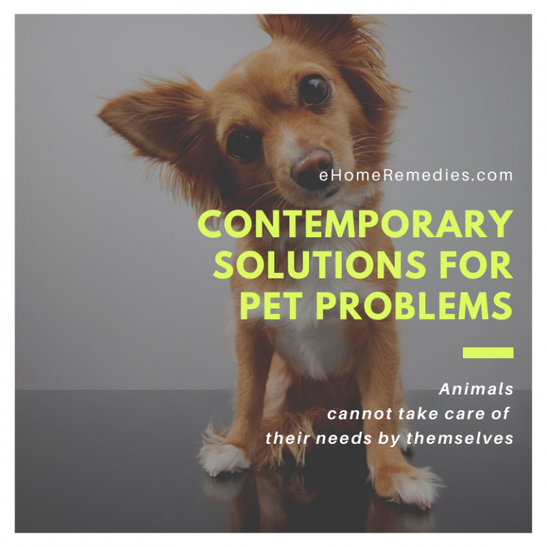 CONTEMPORARY SOLUTIONS FOR PET PROBLEMS eHome Remedies