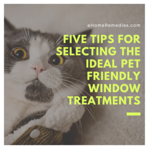 Read more about the article 5 Tips for Selecting the Ideal Pet-Friendly Window Treatments