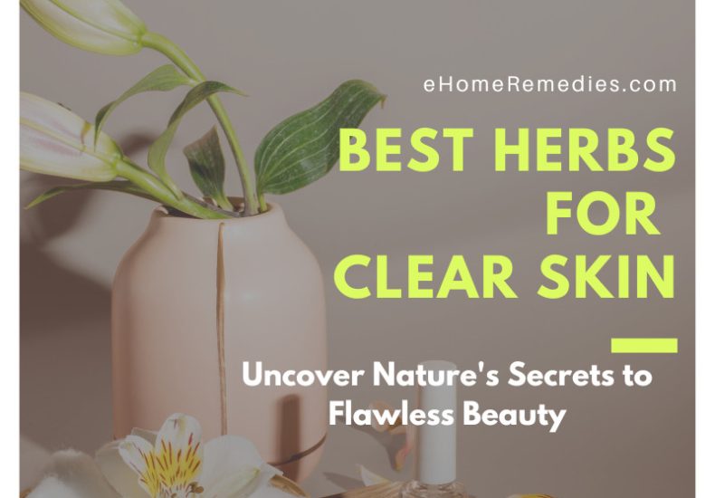 Best Herbs for Clear Skin
