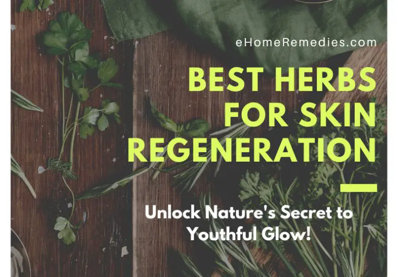 Best Herbs for Skin Regeneration