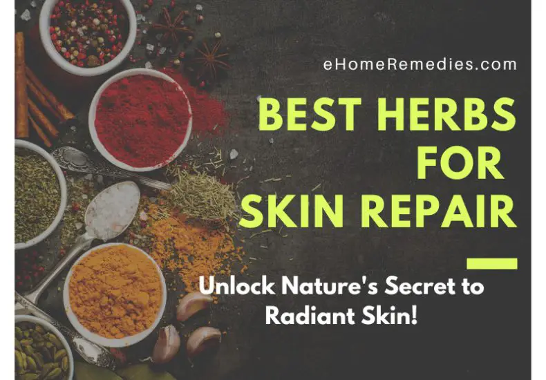 Best Herbs for Skin Repair