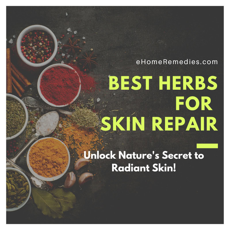 Best Herbs for Skin Repair