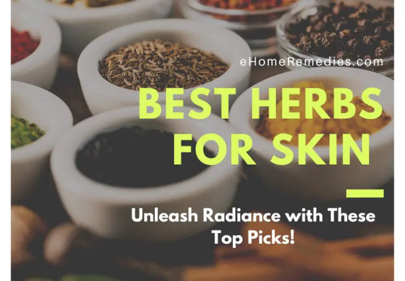 Best Herbs for Skin