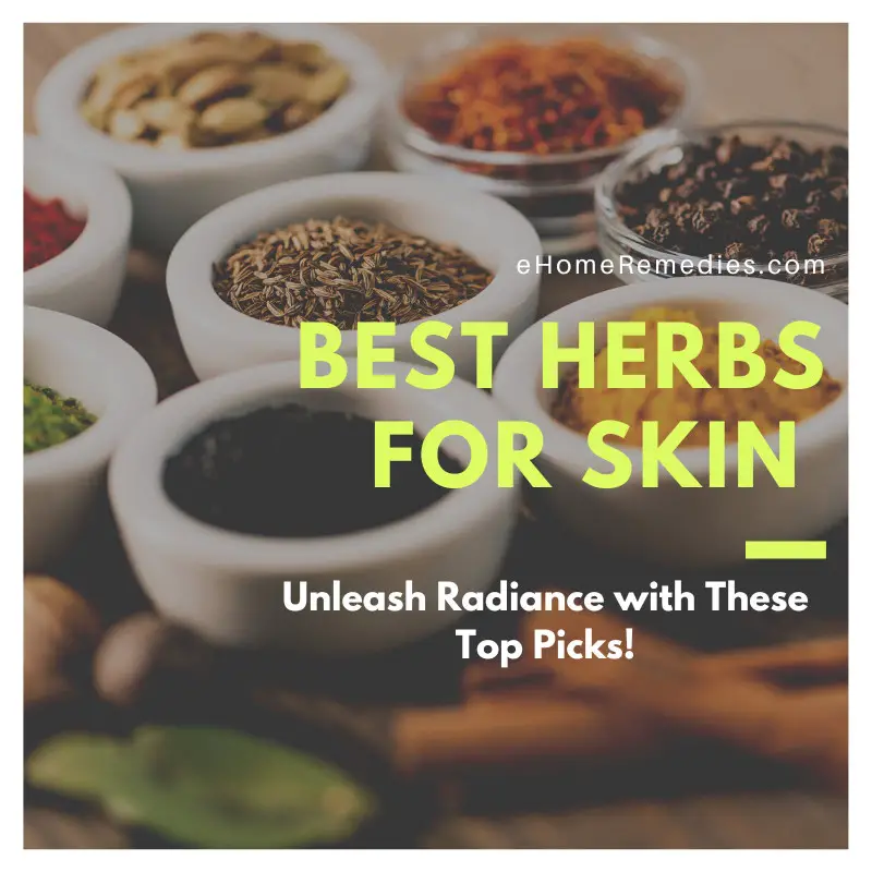 Best Herbs for Skin