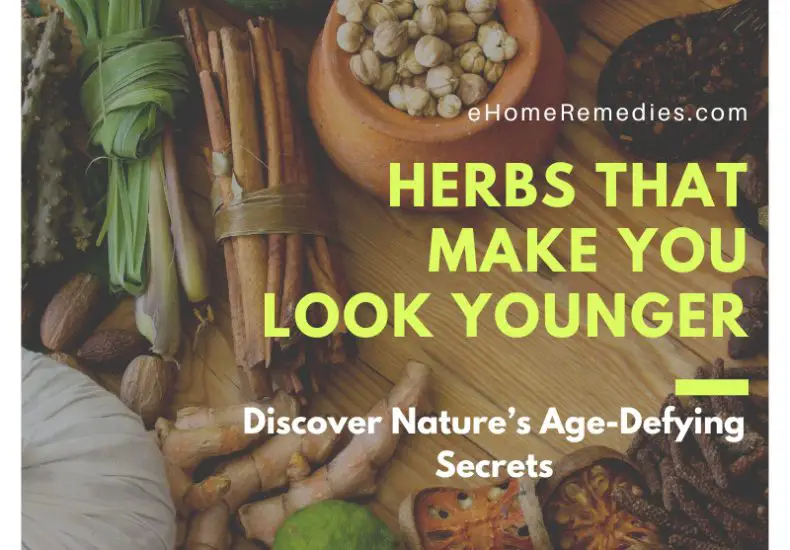 Herbs That Make You Look Younger