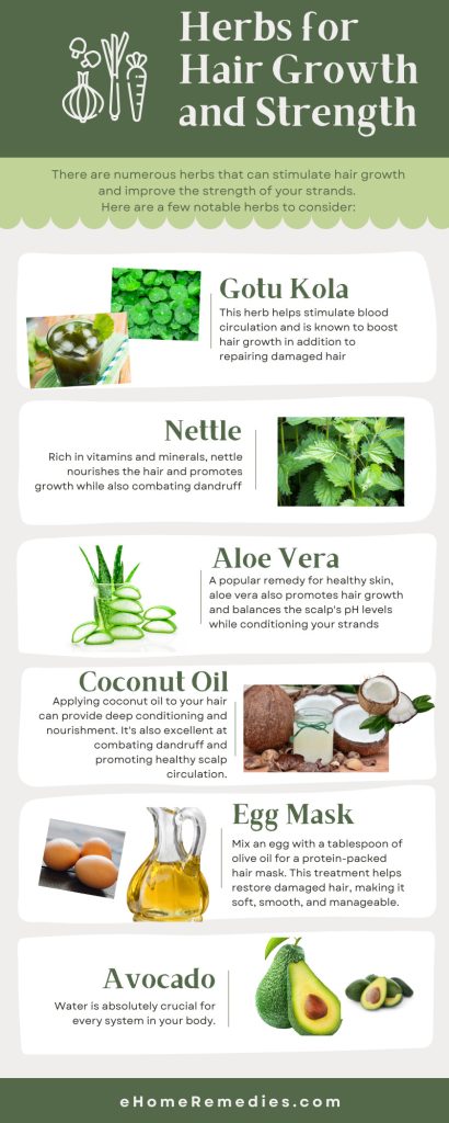 Herbs for Hair Growth and Strength