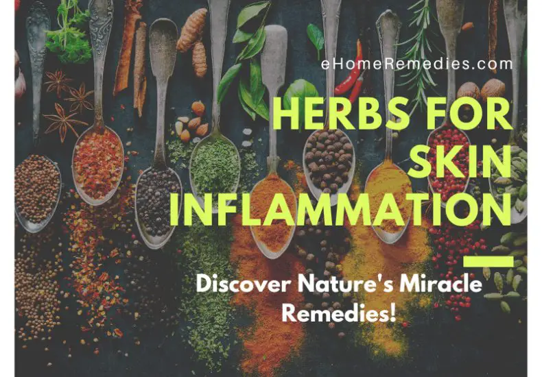 Herbs for Skin Inflammation