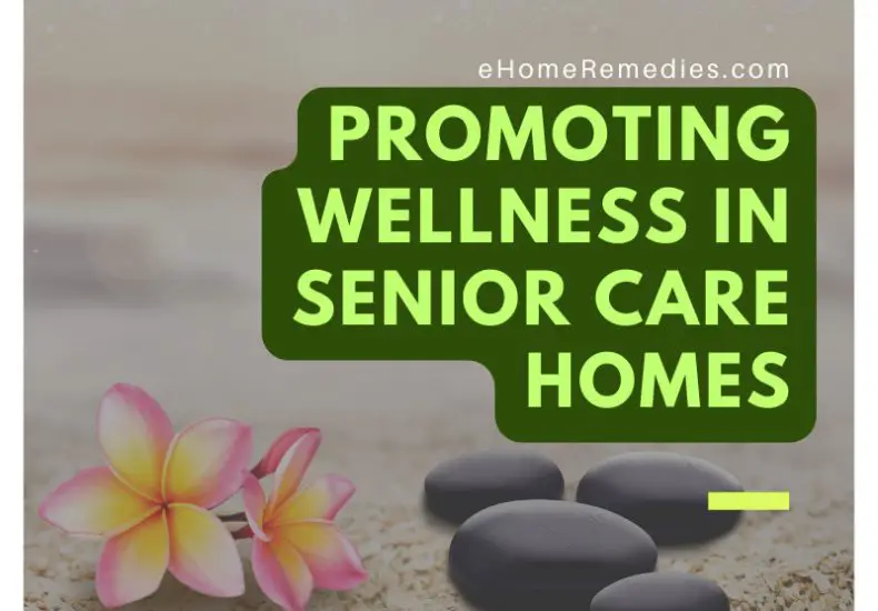 Promoting Wellness in Senior Care Homes