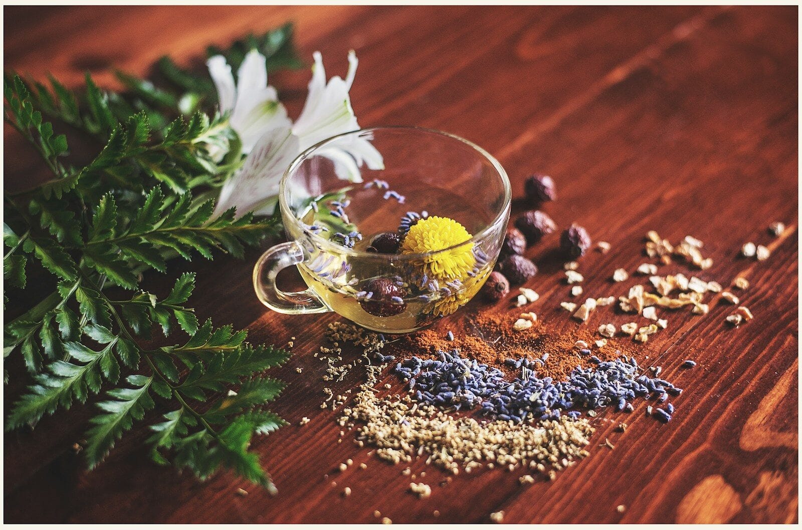 Read more about the article 20 Home Remedies for Swimmer’s Ear: An Herbalist’s Guide to Holistic Healing